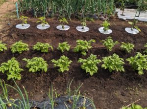 初めまして（料金説明あり）