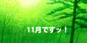 11月ですッ！