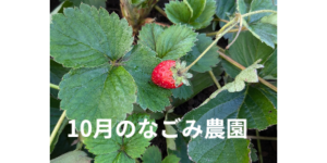 10月のなごみ農園