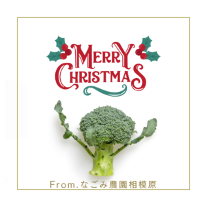 農園からMerryChristmas