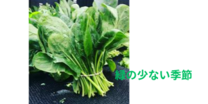 緑の少ない季節