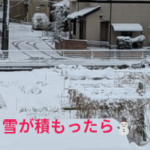 積雪の対策とメリット・デメリット