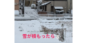 積雪の対策とメリット・デメリット