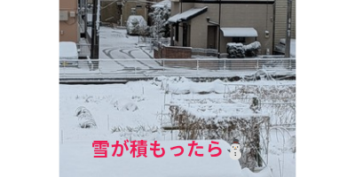 積雪の対策とメリット・デメリット