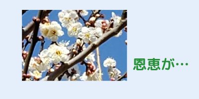 毎年の恩恵が（農園ウラ話）